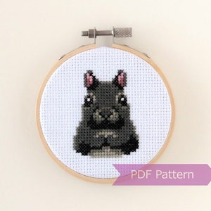 Black Squirrel cross stitch pattern PDF - Black Squirrel embroidery PDF - Instant download - Small