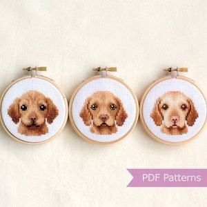 Vizsla cross stitch pattern PDF bundle - Young + adult + senior Vizsla (Hungarian Shorthaired Pointer)  - Instant download - Small
