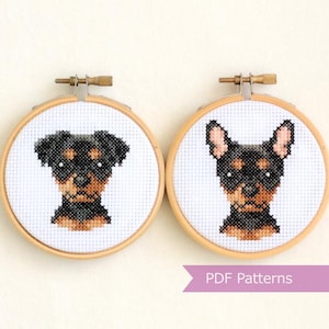 Miniature Pinscher cross stitch pattern PDF bundle - Black + Tan Zwergpinscher w/wo pointy ears embroidery -  Instant download - Small