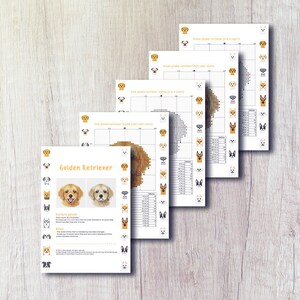 Korsstygnsmönster för Golden Retriever i PDF-format - Mörk + Krämfärgad broderi av Golden Retriever - Direkt nedladdning - Liten bild 3