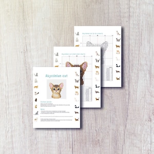 Abyssinian Cat Cross Stitch Pattern PDF - Abyssinian Cat Embroidery ...
