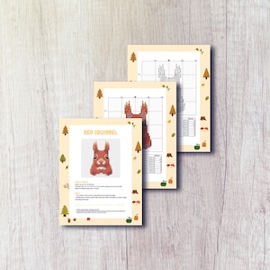 K&ouml;nnte beinhalten: Kreuzstichmuster f&uuml;r ein rotes Eichh&ouml;rnchen mit Anleitung und Farbtabelle. Das Muster ist 27 x 27 Stiche und verwendet 11 Farben.
