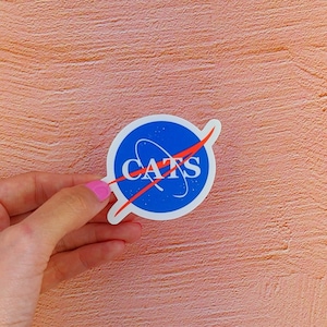 Sticker: NASA CATS - die cut vinyl sticker, funny cat lovers gift, outer space sticker, NASA Meatball