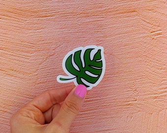 Sticker: Monstera Leaf - Clear die cut vinyl sticker, plant lovers gift, hand drawn cartoons, green leaf, water bottle decal