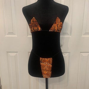 Exotic snake print two piece