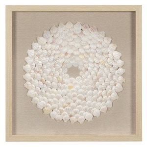 HUJI Mini Scallop Shells Shadow Box Wall Décor (MS56275B)