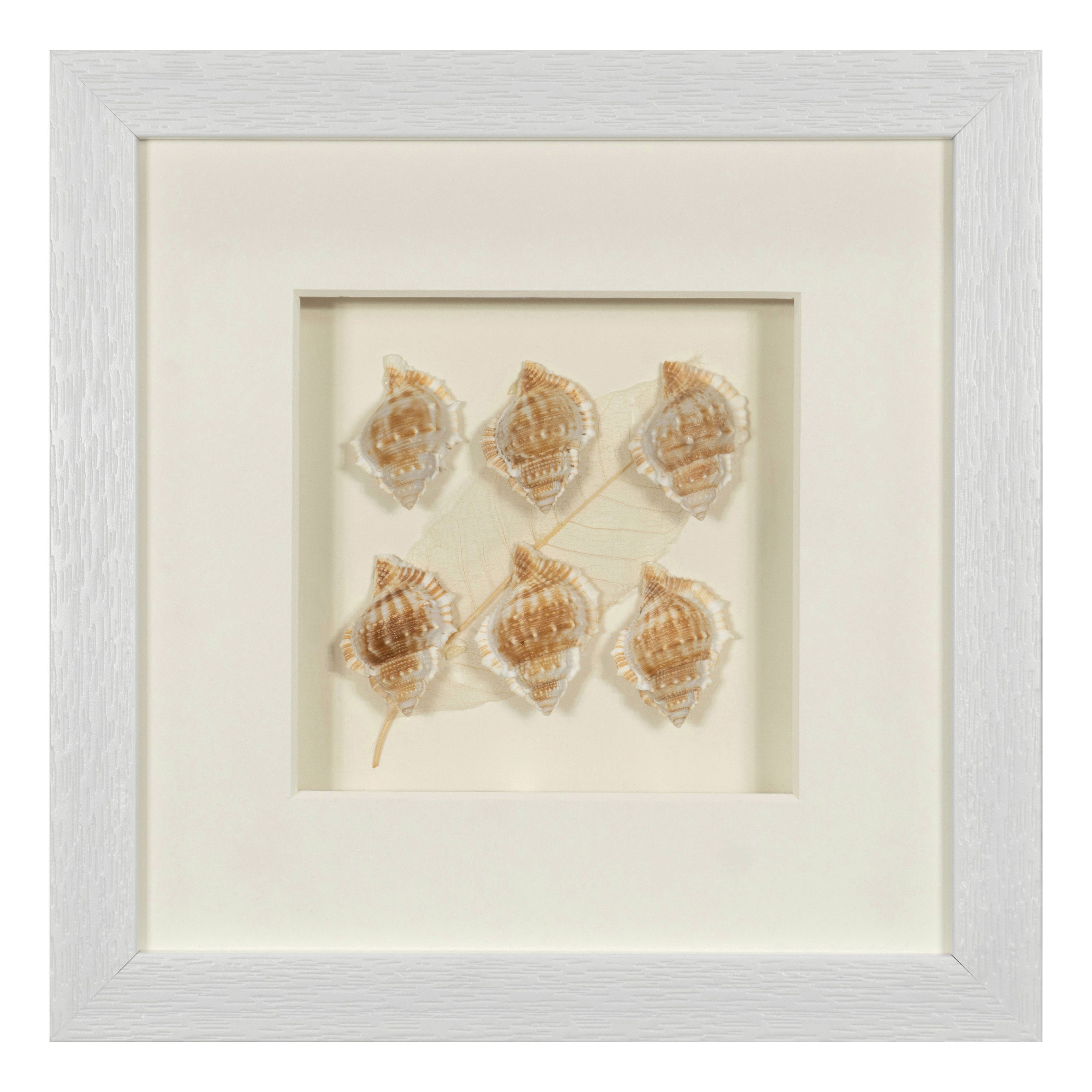 Sea Shell Shadow Box Wall Décor 2 Piece Set Etsy