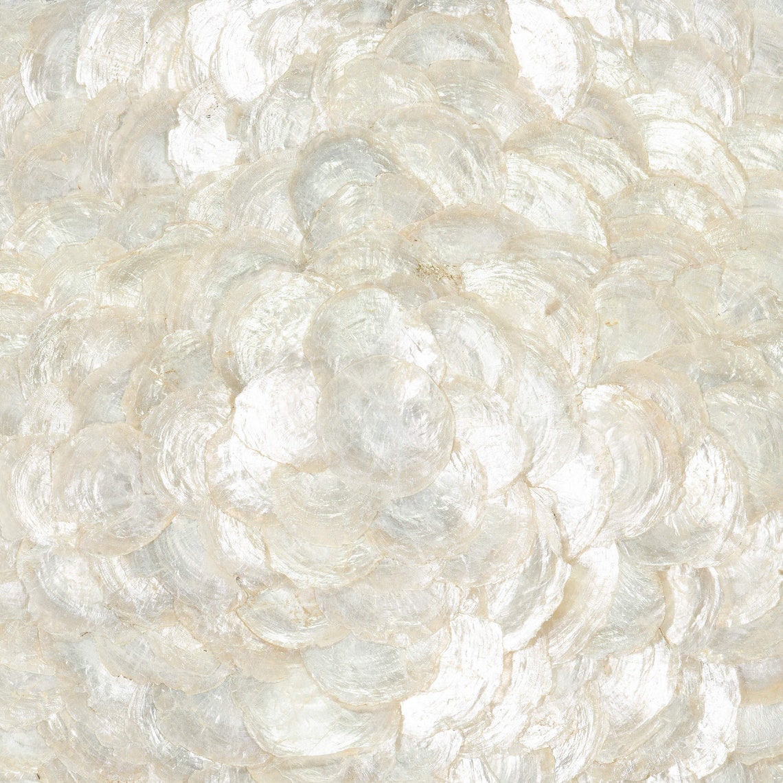 HUJI Capiz Shell Shadow Box Wall Décor MS56542B Etsy