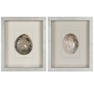 May include: Two framed wall art pieces featuring iridescent seashells. The shells are displayed on a white background with a silver frame.