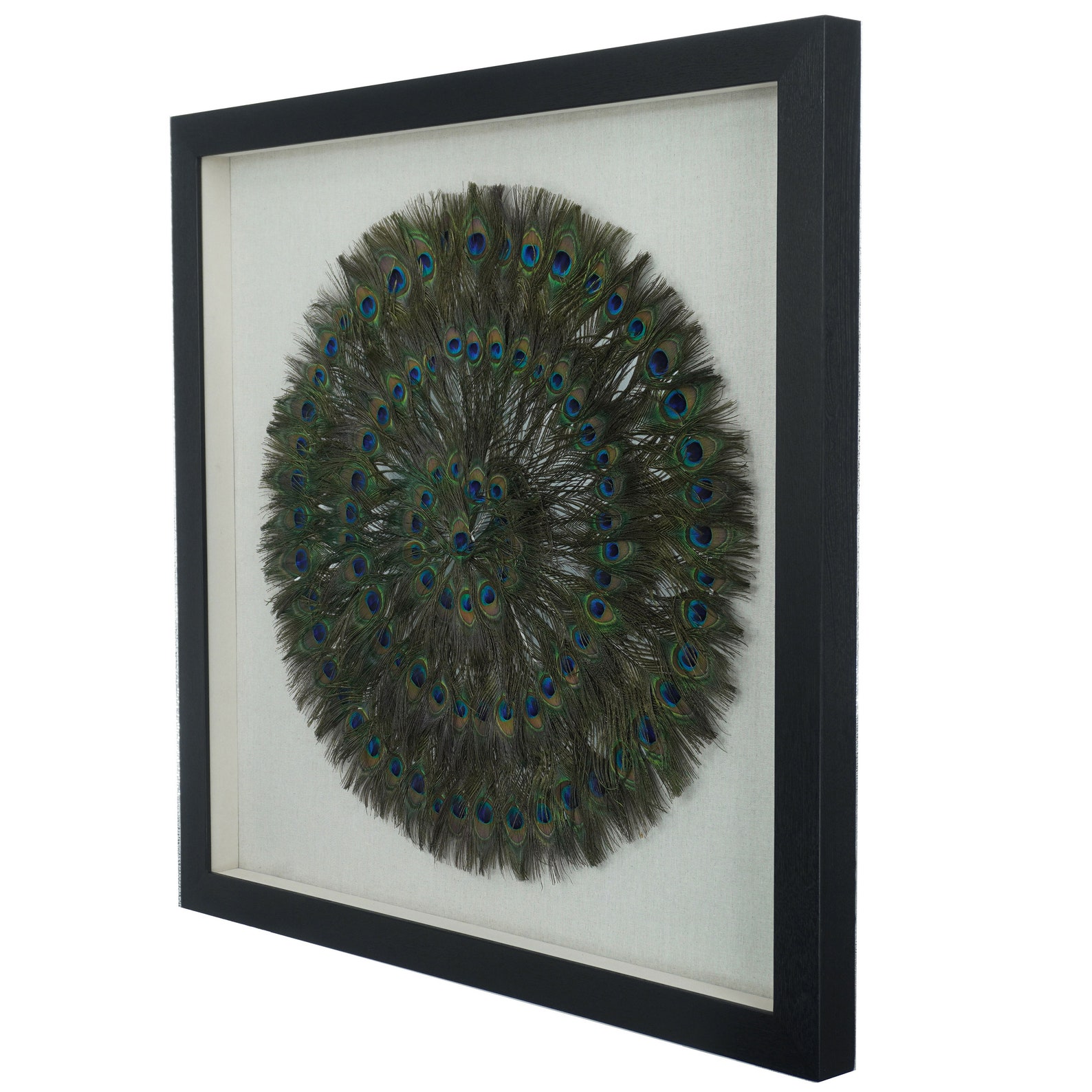 Peacock Feather Shadow Box Wall Décor MS25283 Etsy