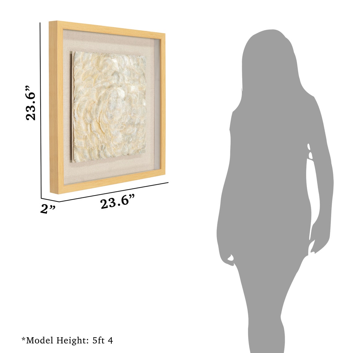 HUJI Capiz Shell Shadow Box Wall Décor MS56542B Etsy