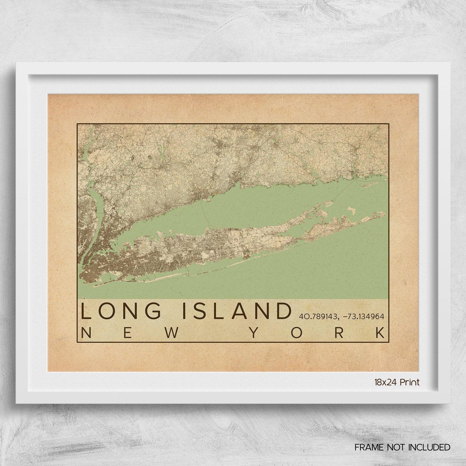 Long Island New York City Map Print Poster Antique Vintage City Map