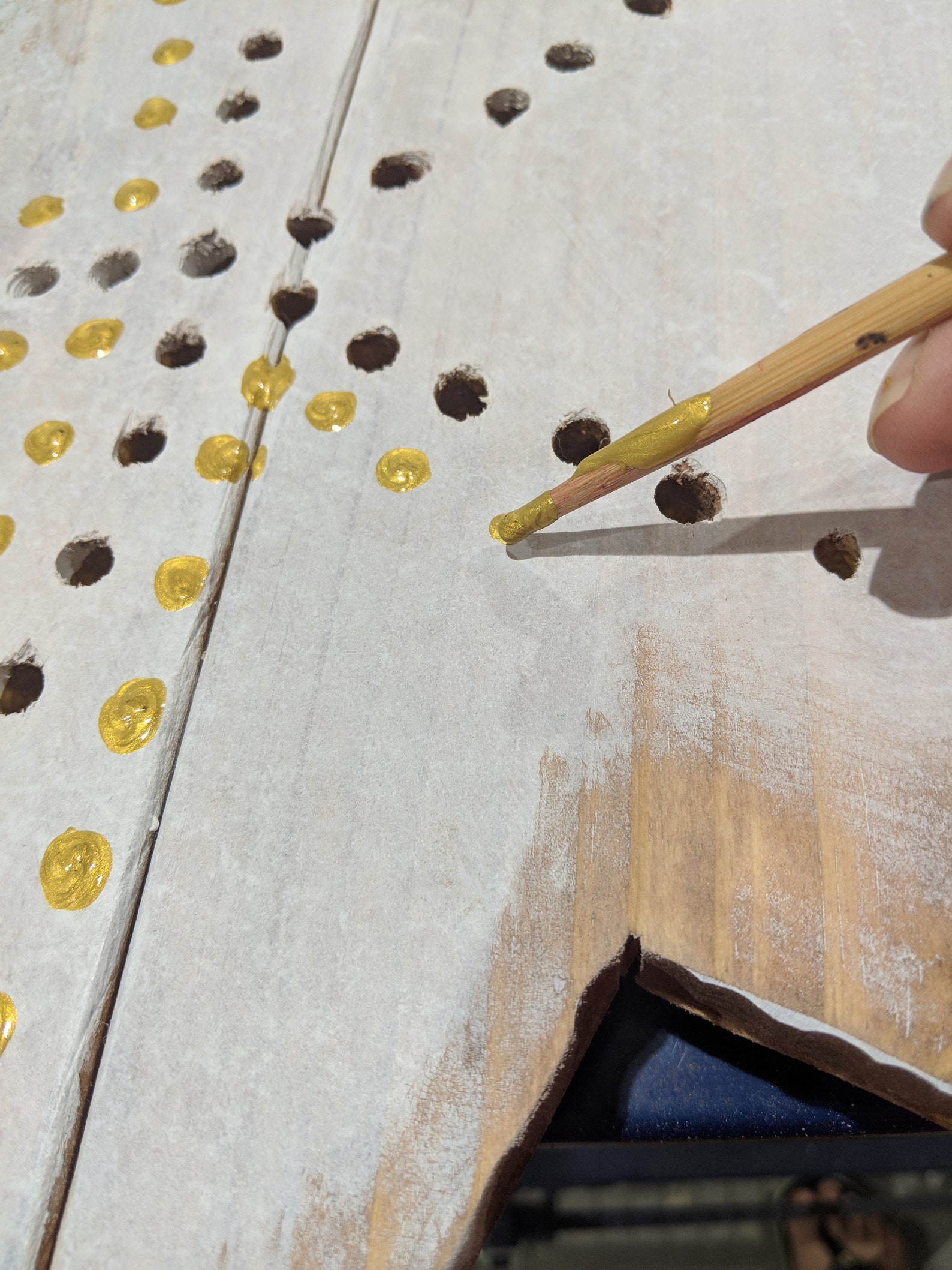 Starfish Wall Art With Holes Etsy