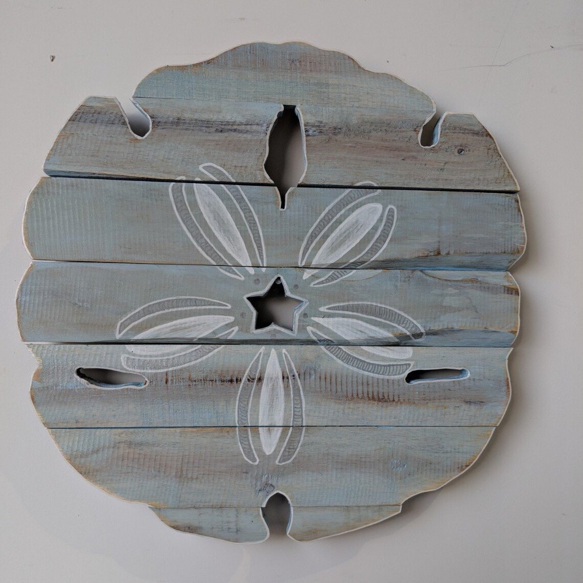 Sand Dollar Wall Art Etsy