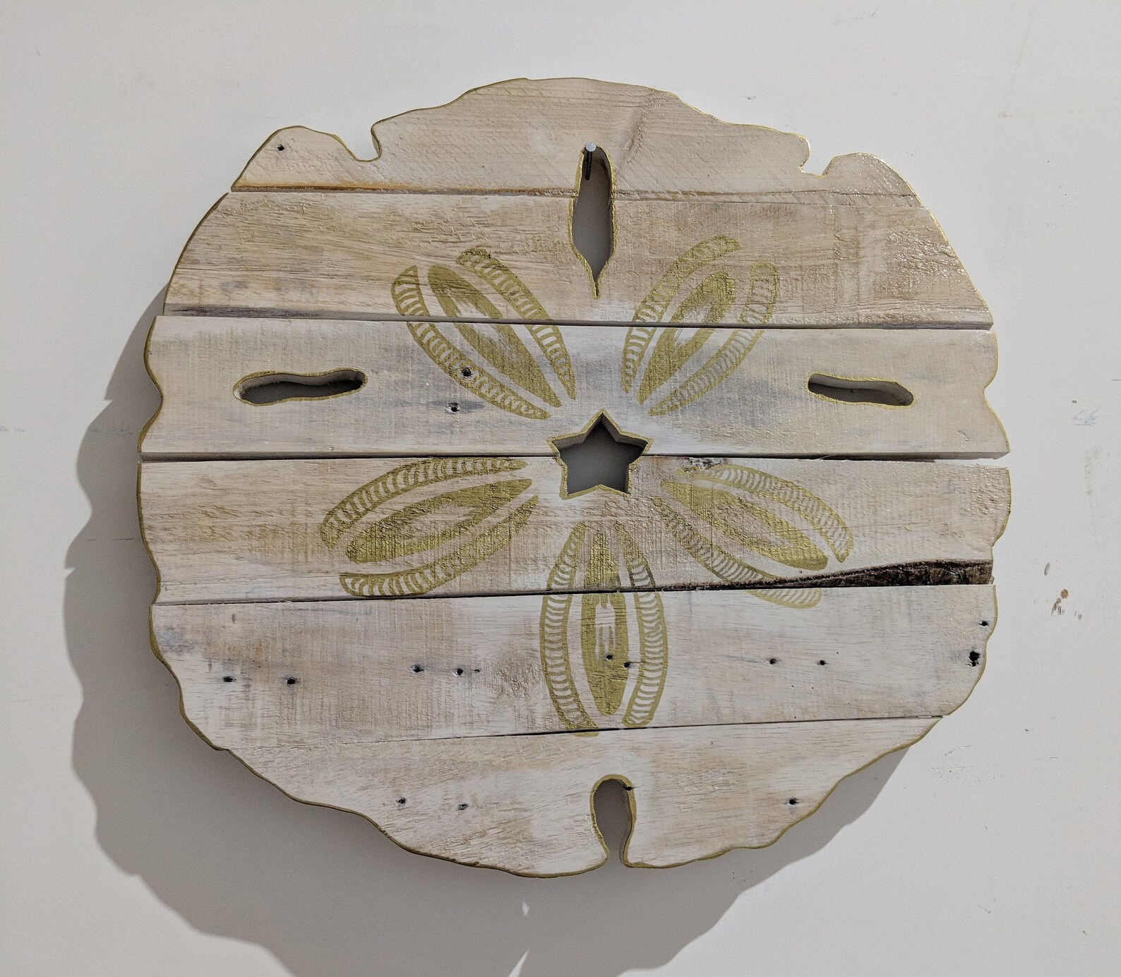 Sand Dollar Wall Art Etsy