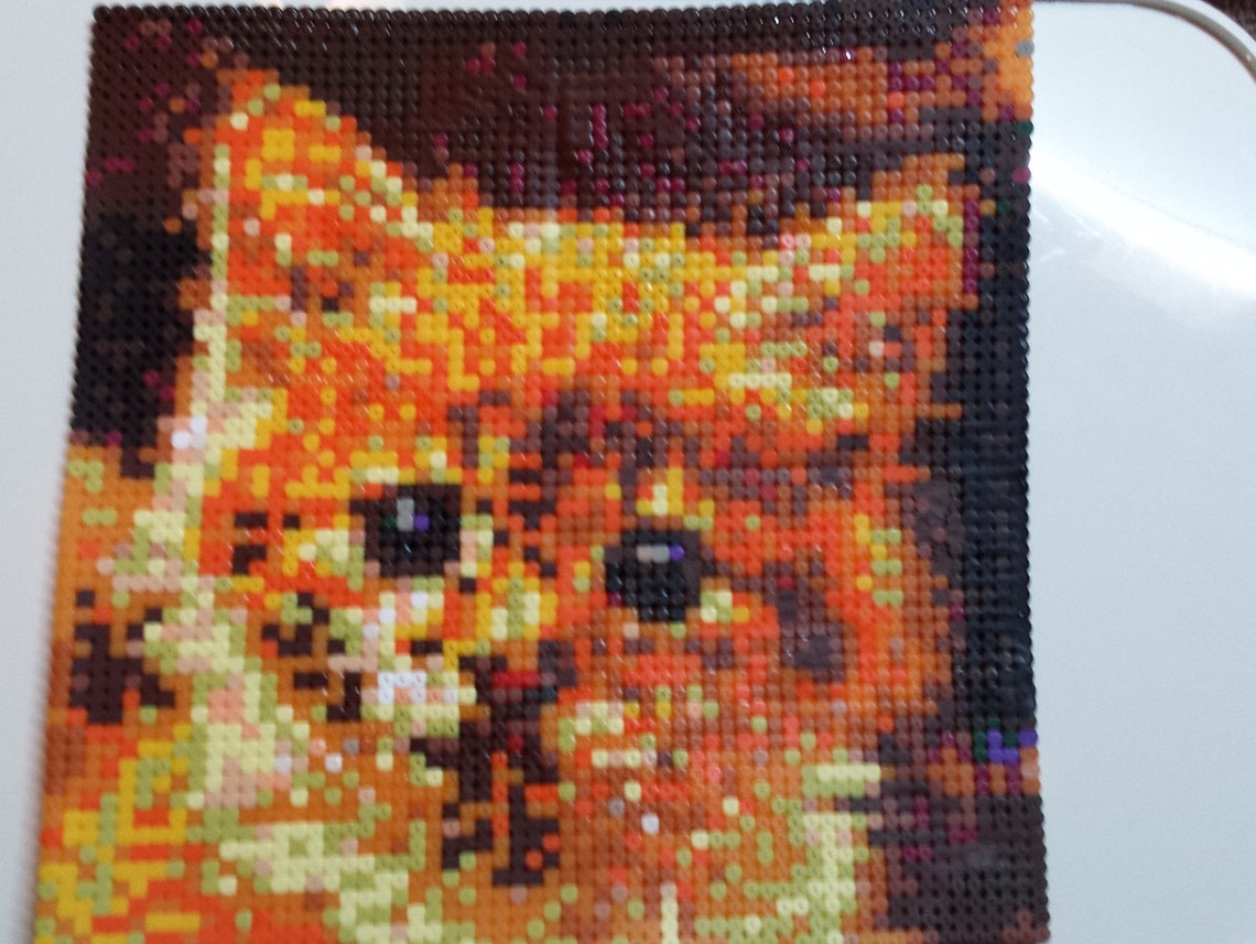 Little Orange Tabby Kitten Portrait Perler Bead Pixel Art Etsy