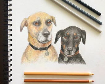 Custom Pet Portraits