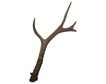 Deer Horn Branch