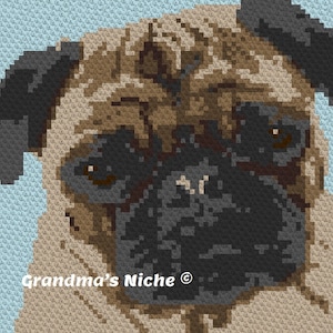 Puede incluir: Primer plano de la cara de un carlino marrón y negro. El carlino tiene la cara arrugada y ojos grandes y oscuros. El fondo es azul claro.