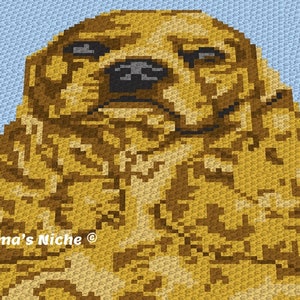 Può includere: Uno schema all'uncinetto di un cucciolo marrone dorato su uno sfondo blu chiaro. Lo schema è intitolato "Grandma's Niche".