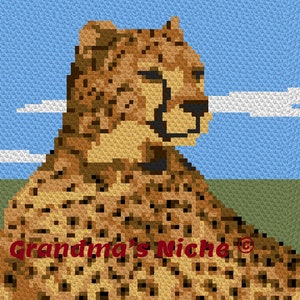 May include: A close-up of a cheetah's head and shoulders against a blue sky with white clouds. The cheetah is looking to the right of the image. The cheetah's fur is a light brown with black spots.