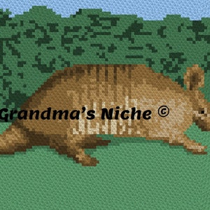 May include: A brown and white armadillo with a textured shell is walking through a green grassy field. The text "Grandma's Niche ©" is visible in the image.