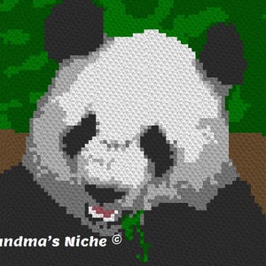 Puede incluir: Un oso panda blanco y negro con un tallo verde de bambú en la boca. El panda está sentado frente a un fondo verde frondoso.