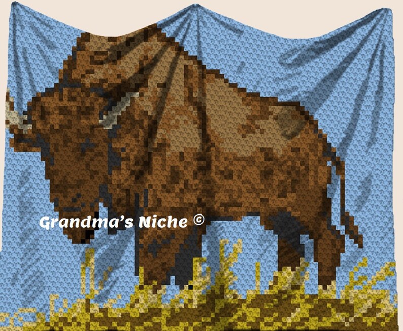 Buffalo Crochet Blanket C2C Pattern written Instructions Etsy