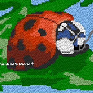 May include: A red and black ladybug with white and blue markings on its head is perched on a green leaf. The ladybug is facing the right side of the image. The leaf is surrounded by a light blue background.