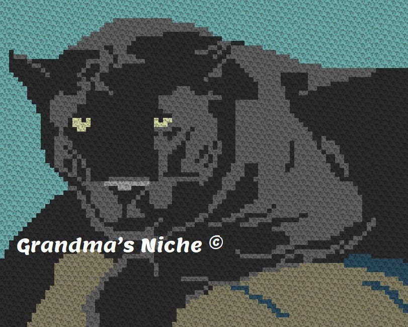 35 Endangered Animal Crochet: Leopard Crochet Patterns 15 Black Leopard Crochet Blanket C2C