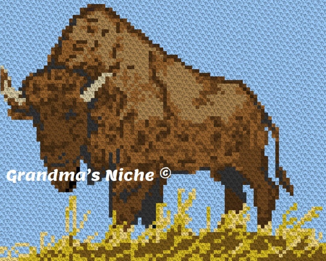 Buffalo Crochet Blanket C2C Pattern, written Instructions, Tunisian