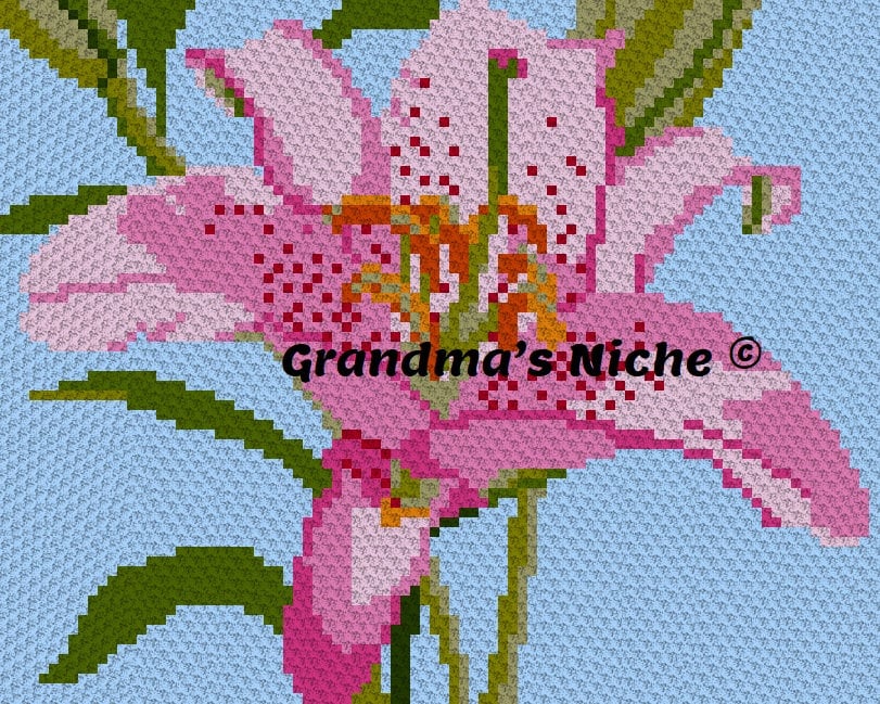 33 Lily Crochet Patterns for Bouquets, Home Decor, and Handmade Gifts 15 Asiatic Lily Crochet Blanket C2C