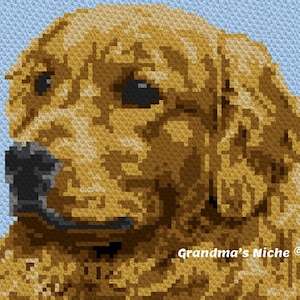 Golden retriever knitting pattern discount