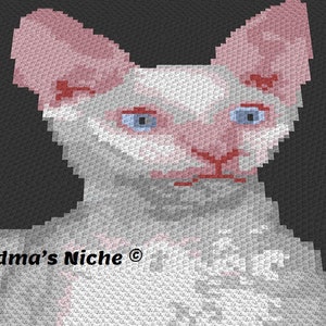 May include: A crocheted cat with white and pink fur and blue eyes. The cat is looking directly at the viewer. The background is black. The text "Grandma's Niche ©" is in the bottom left corner of the image.
