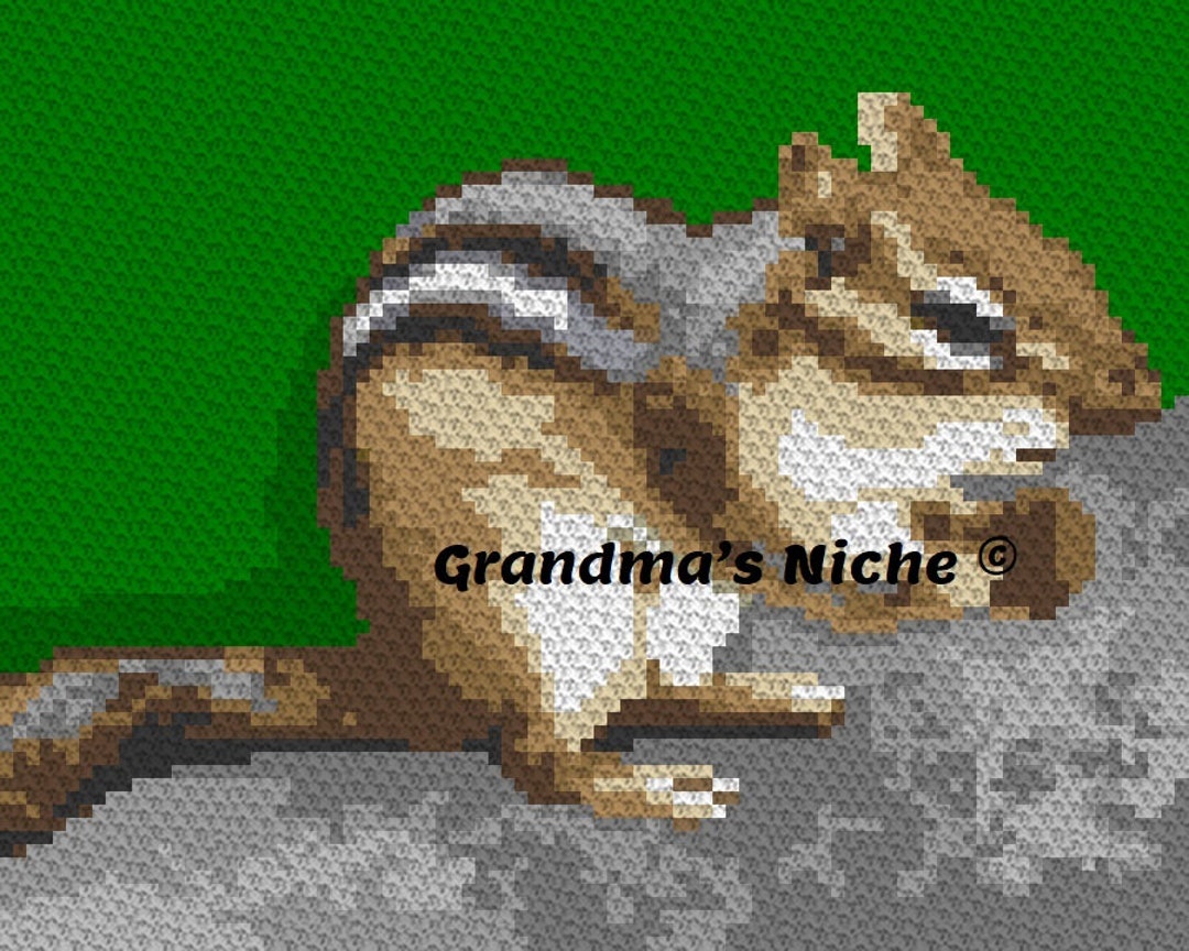 Chipmunk - Crochet Blanket C2C Pattern, “written Instructions ...