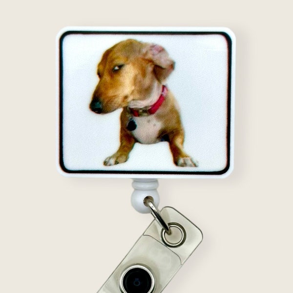 Side Eye Dog Meme Badge Reel, Retractable Badge Reel, Badge Holder, Funny Badge Reel, GIF, MRI Safe, Lanyard, Dog Lover, Humor