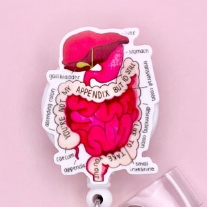 Anatomical Digestive System Badge Reel, Intestines Retractable Badge Reel, Stomach Badge Holder, Gastro, GI, Colon, Nursing Badge, MRI Safe