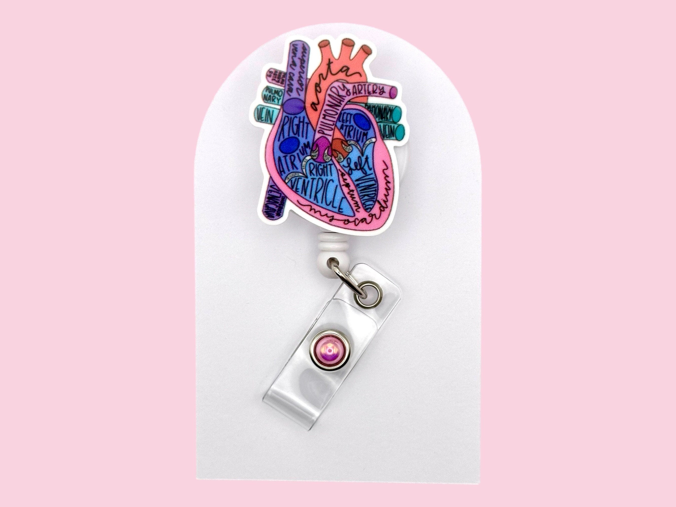 Anatomical Heart Badge Reel, Retractable Badge Reel, Badge Holder, Cardiology, cardiologist, Cardiac Nurse, Organ, Icu Nurse, RN, MRI Safe