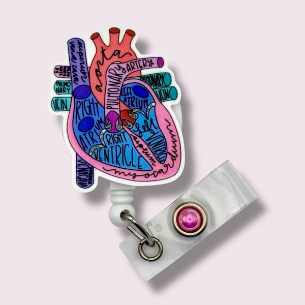 Anatomical Heart Badge Reel, Cardiology ID Holder, Swivel Clip, Belt Clip