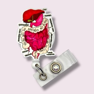 Anatomical Digestive System Badge Reel, Intestines Retractable Badge Reel, Swivel Clip, Belt Clip, MRI Safe, Lanyard, Gastro, Stomach, Gut