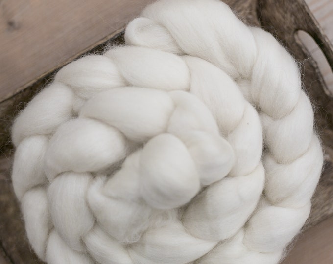 BFL combed wool fibers for spinning and felting / Blue Faced Leister.Sheep / Dolls Hair Roving wool / Felting wool natural white