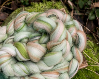 Roving Merino Wool Top Blends for spinning and felting / Merino comb for spinning and felting stargrass/ Sterngras