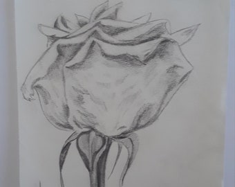 ORIGINAL Rose Graphite Drawing