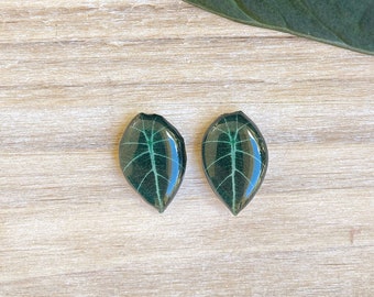 Alocasia Black Velvet Stud Earring, Tropical Leaf Studs, Houseplant Jewelry, Indoor Plant Earring, Plant Lover Gift, Mini Alocasia Plant