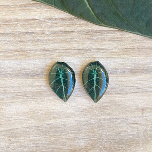 Alocasia Black Velvet Stud Earring, Tropical Leaf Studs, Houseplant Jewelry, Indoor Plant Earring, Plant Lover Gift, Mini Alocasia Plant