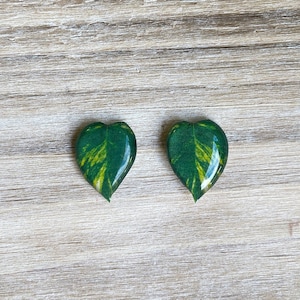 May include: A pair of heart-shaped earrings with a green and yellow leaf design.
