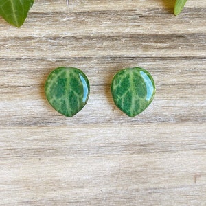 Aretes de planta con forma de tortuga, Peperomia prostrata, joyería de plantas de interior, regalos de plantas tropicales, aretes de suculentas, regalo para mamás de plantas