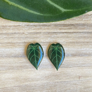 Anthurium Earring, Tropical Leaf Studs, Houseplant Jewelry, Indoor Plant Earring, Plant Lover Gift, Botanical Earring, Anthurium Silver