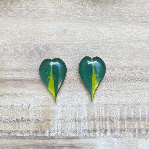 Brazilian Philodendron Leaf Stud Earrings: Handmade Plant Lover Jewelry