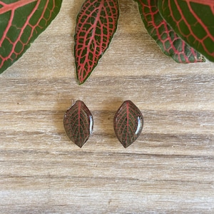 Nerve Plant Stud Earring, Plant Earring Stud, Houseplant Jewelry, Plant Gift, Fittonia Plant, Plant Lover Gift, Botanical Earring, Leaf Stud